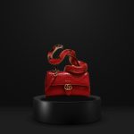 Chic Mini Bag