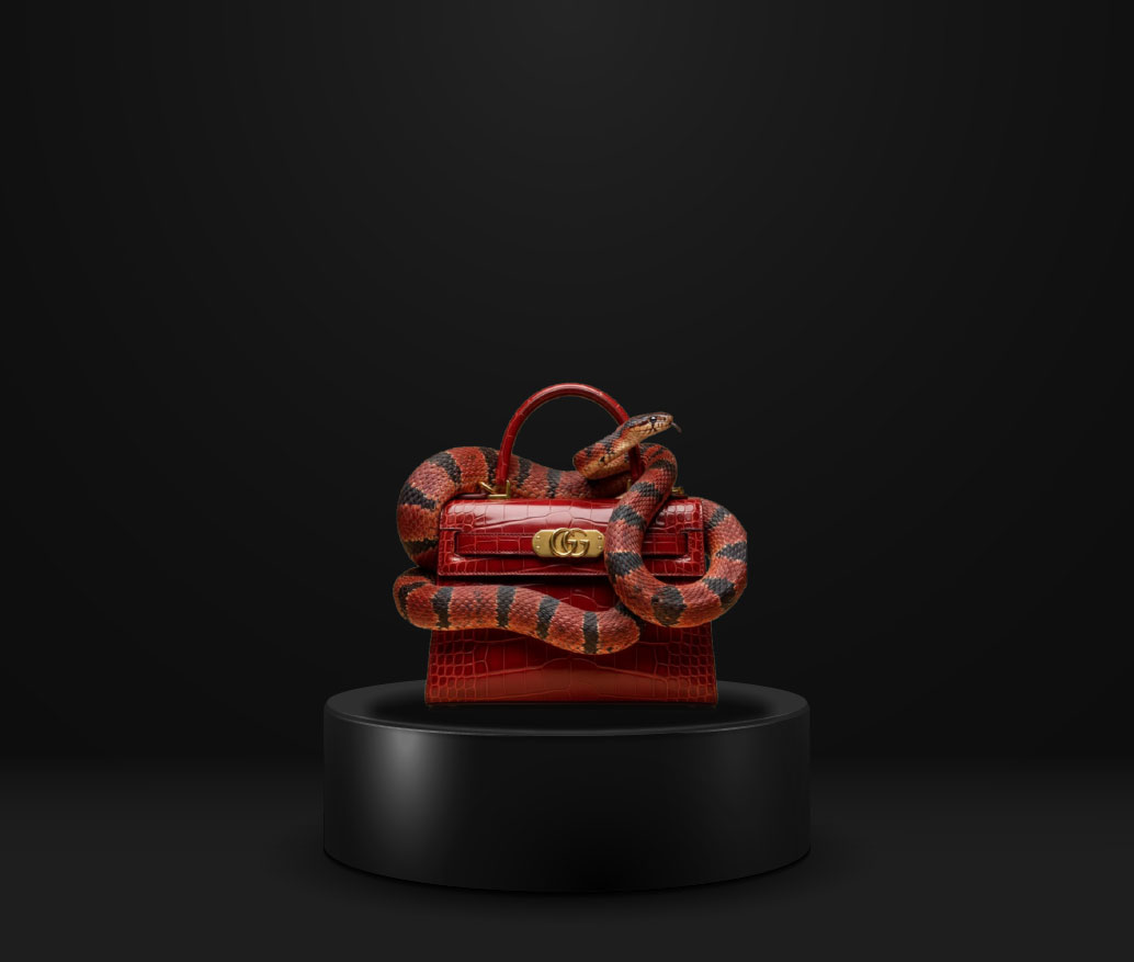 bagbroduct4 Modern Designer Bag - Image 1