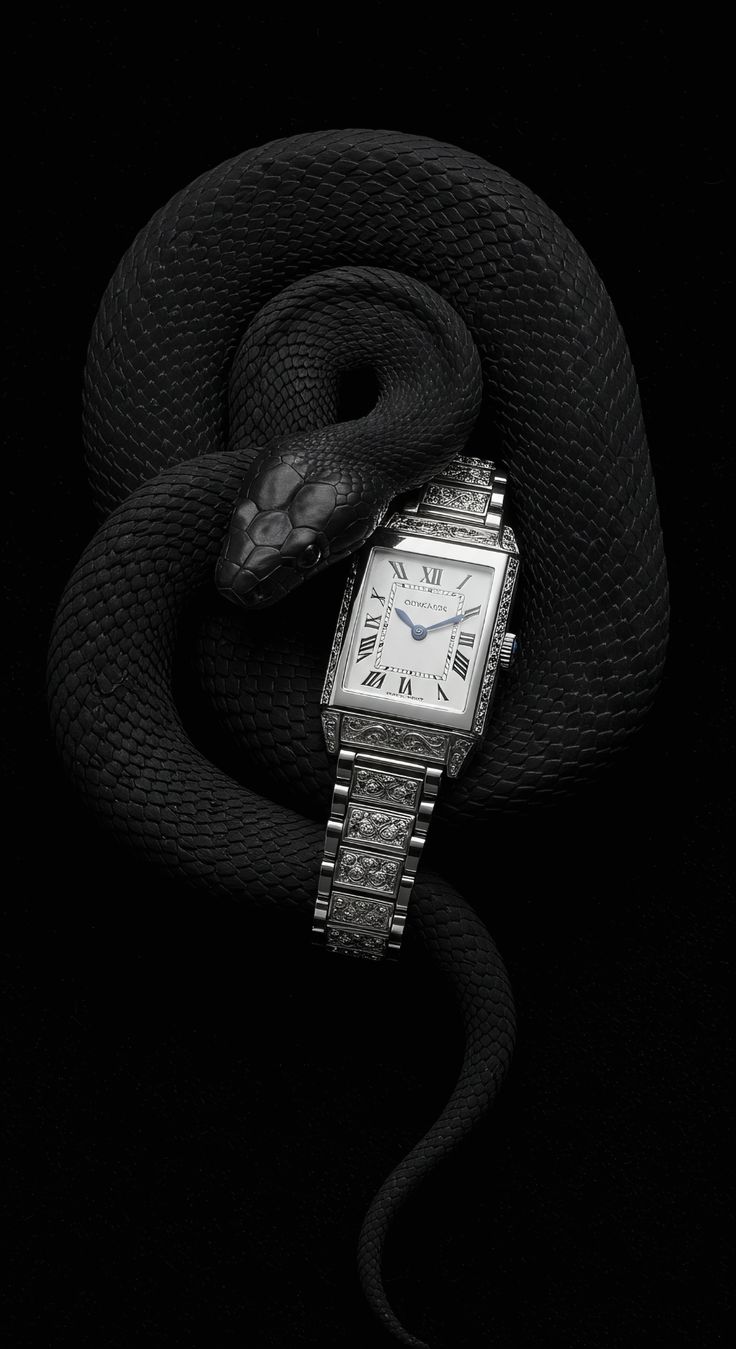 c7f5b74cb95b2ad5f5ea12168bd38761 Diamond Accent Luxury Watch - Image 1